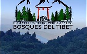 Bosques del Tibet
